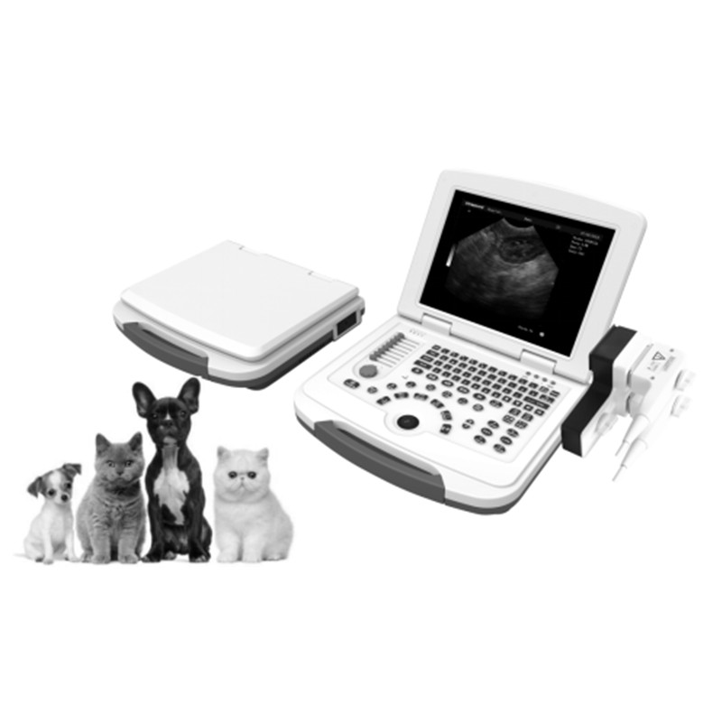 VC-U10 B/W Laptop Ultrasound  Scanner