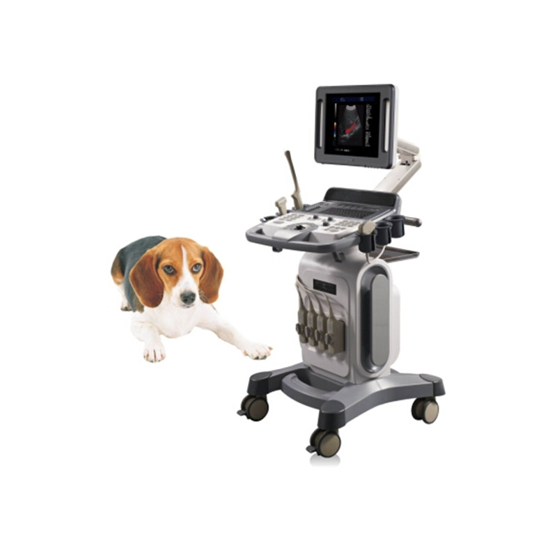 VC-U16 Trolley Veterinary Color Doppler Ultrasound Scanner-Trolley Veterinary Color Doppler Ultrasound Scanner