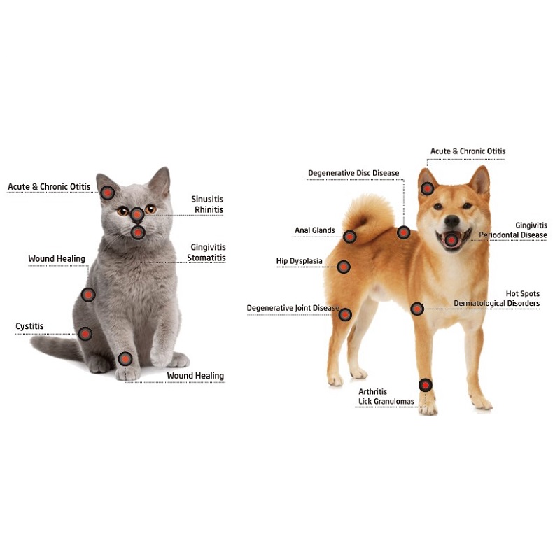 VDL15 Diode Laser Surgery Therapy ARI Veterinary Care ARI Medical