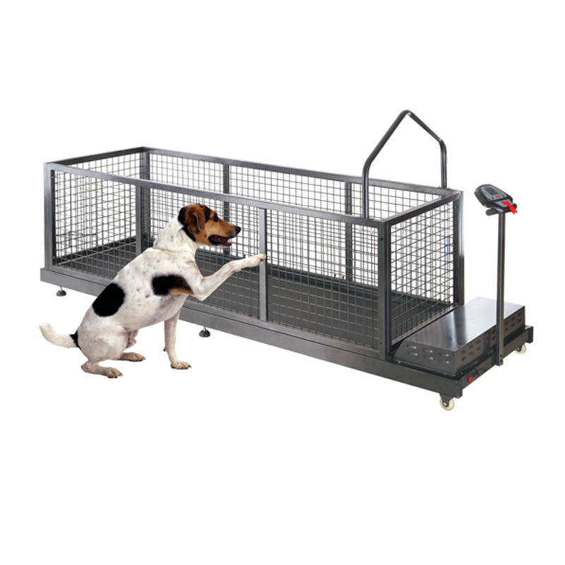 VET-C600WSG Pet Treadmill (High Speed+ Electric incline)-Pet Treadmill (High Speed+ Electric incline)