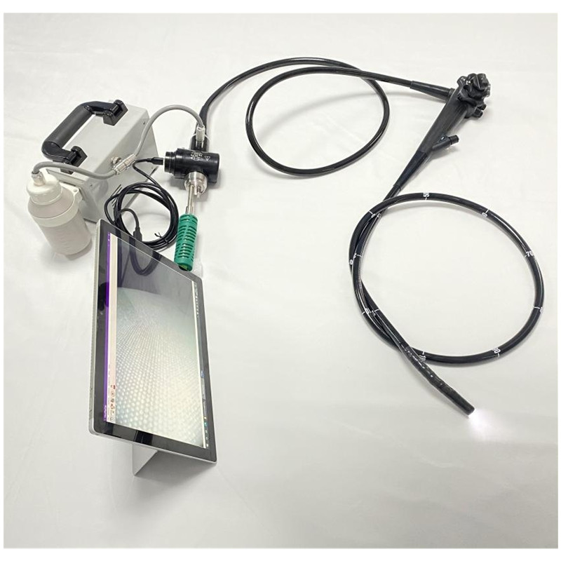VED-800 Portable USB Video Gastroscope/ Colonoscope