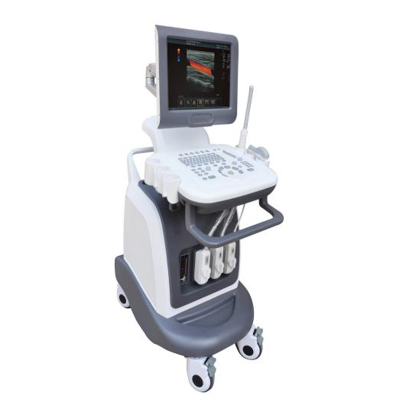 VC-S60 Trolley Veterinary Color Doppler Ultrasound Scanner