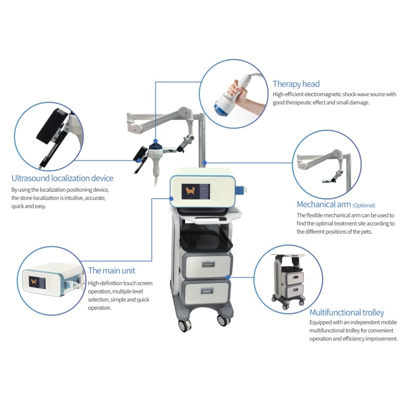 AP100 Shockwave Lithotripsy and Therapy Machine (All-in-One)