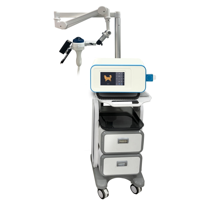 AP100 Shockwave Lithotripsy and Therapy Machine (All-in-One)